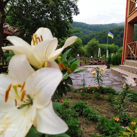 Bilovoddya Hotel Sil Bagian luar foto