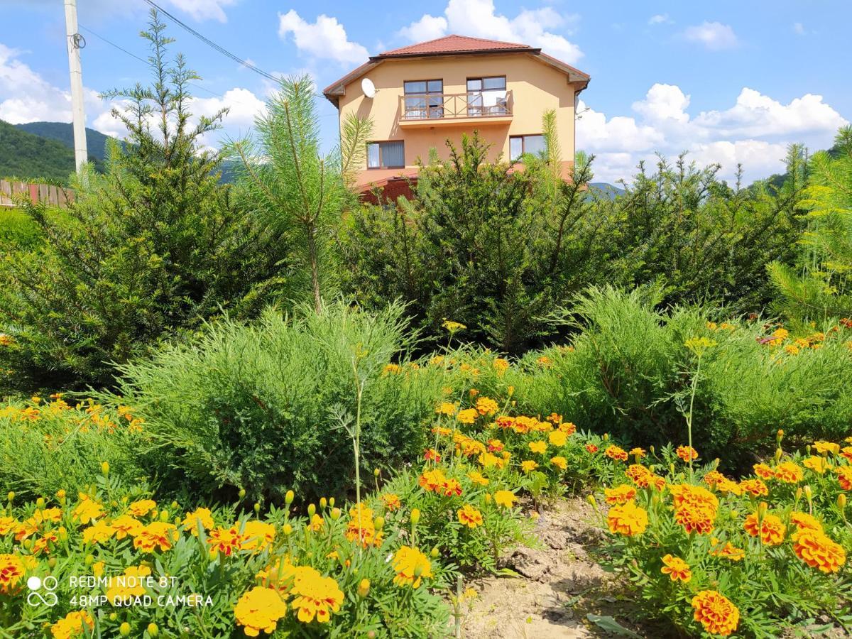 Bilovoddya Hotel Sil Bagian luar foto